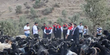Çiftçilere, yeni hayvancılık desteklemeleri modeli anlatıldı