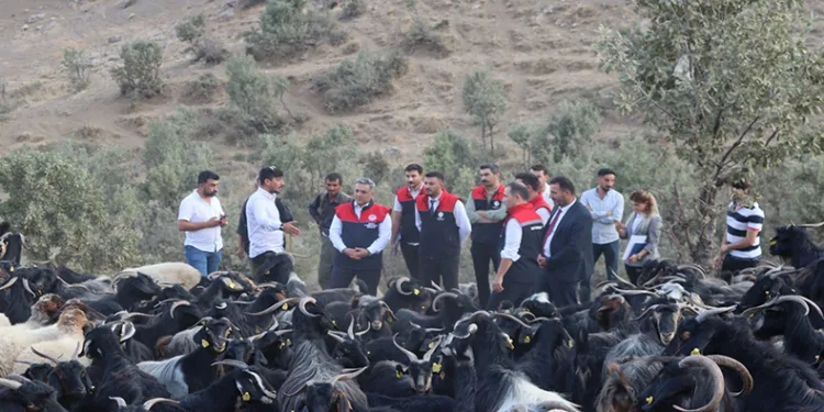 Çiftçilere, yeni hayvancılık desteklemeleri modeli anlatıldı