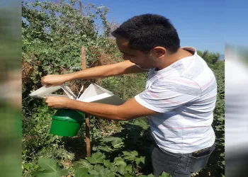 Söke’de tuzak kontrolleri yapıldı