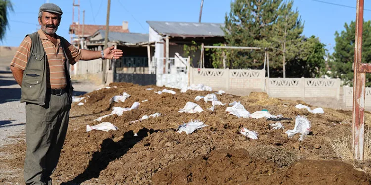 Sivas Belediyesi’ne ‘tezek’ tepkisi