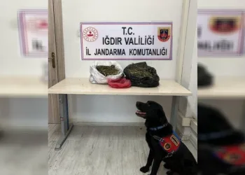 Iğdır’da 22,5 kilogram kubar esrar ele geçirildi
