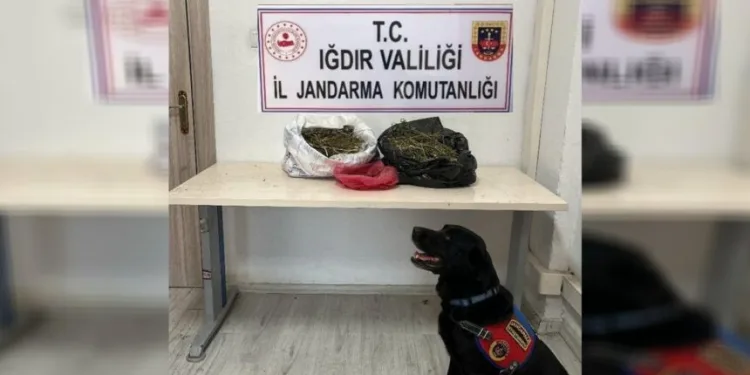 Iğdır’da 22,5 kilogram kubar esrar ele geçirildi
