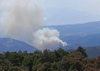 İznik’te korkutan orman yangını