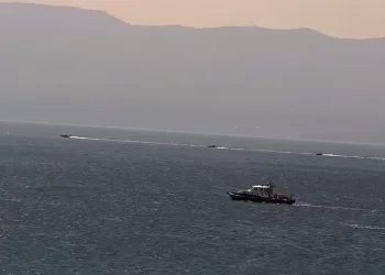 Yalova’da heyecanlandıran görüntü