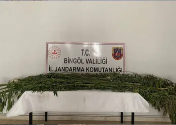 Bingöl’de uyuşturucu madde ele geçirildi