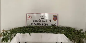 Bingöl’de uyuşturucu madde ele geçirildi