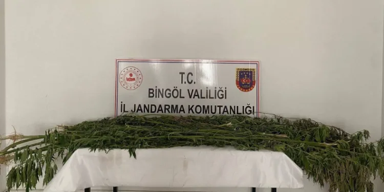 Bingöl’de uyuşturucu madde ele geçirildi