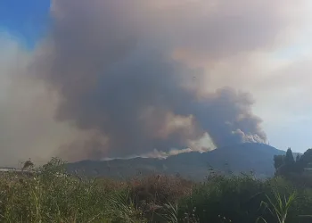 Aydın ve Muğla’da yangın: Yerleşim yerleri tehdit altında