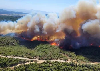 Manisa ve Çanakkale’de orman yangını