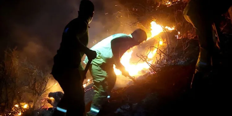 Mersin’deki orman yangını kontrol altına alındı