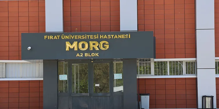 Devrilen traktörün altında kalarak hayatını kaybetti