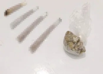 Bursa polisinden uyuşturucu operasyonu
