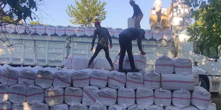 Aileleriyle birlikte ekmeklerini samandan kazanıyorlar