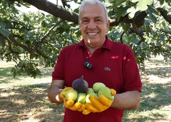 Üreticilere ‘Kooperatif kurun’ çağrısı