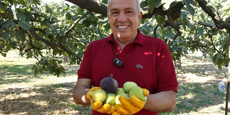 Üreticilere ‘Kooperatif kurun’ çağrısı
