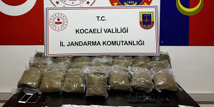 Kocaeli’de 2 araçta 23 kilo bonzai ele geçirildi