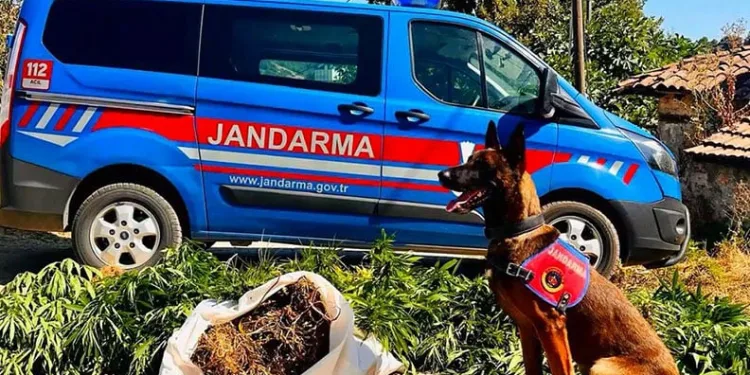 Çanakkale’de uyuşturucu operasyonu