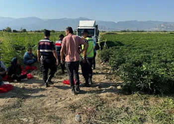 Tarlada uyuyan Ayşenur kamyonun altında can verdi