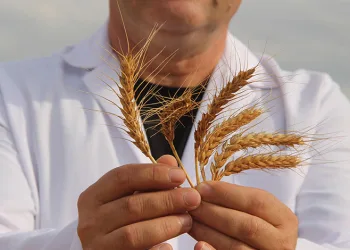 Türk bilim adamları bir ilki başardı