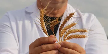 Türk bilim adamları bir ilki başardı