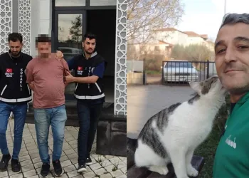 Eniştesini öldüren sanığa müebbet hapis
