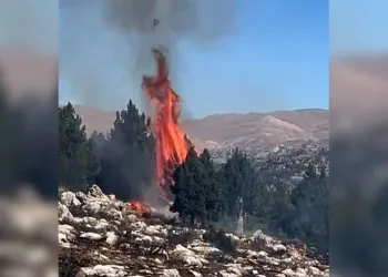 Kahramanmaraş’ta orman yangını söndürüldü