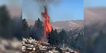 Kahramanmaraş’ta orman yangını söndürüldü