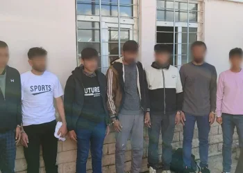 7 düzensiz göçmen sahte pasaportlarla yakalandı