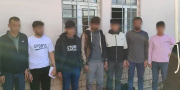 7 düzensiz göçmen sahte pasaportlarla yakalandı