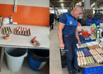 Vatandaşı ‘köy yumurtası’ diye kandıran satıcıyı yakaladı