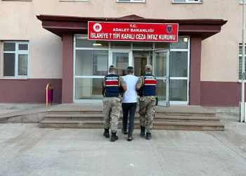 Tabanca ile 2 kişiyi yaralayan şahıs jandarma operasyonuyla yakalandı