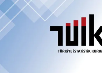 Mali aracı kuruluşlar sektöründe 2023 yılında 20 bin 110 girişim faaliyette bulundu