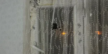 Şanlıurfa’da eve silahlı saldırı