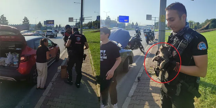 Bursa’da trafikte yavru kedi alarmı
