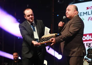 Altın zeytin festivalde görücüye çıktı