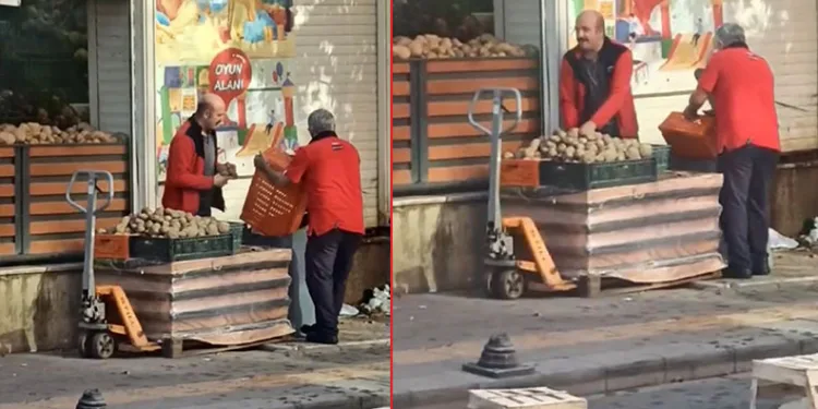 İstanbul’da kasa kasa patates çöpe döküldü