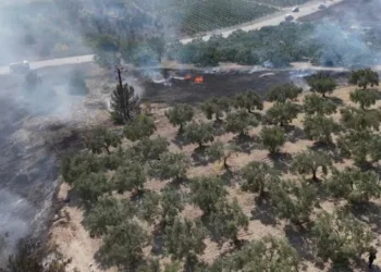 Ormanlık alanda korkutan yangın söndürüldü