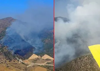 Manisa’da orman yangını