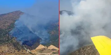 Manisa’da orman yangını