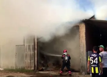 Sakarya’da 2 ahır ve 2 samanlık yandı