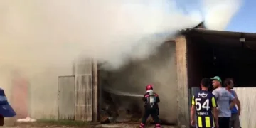 Sakarya’da 2 ahır ve 2 samanlık yandı