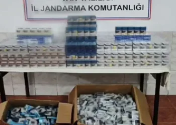 Van’da gümrük kaçakçılığı operasyonu