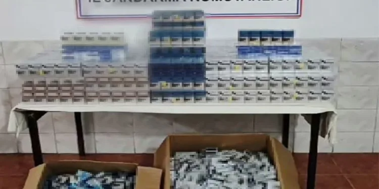 Van’da gümrük kaçakçılığı operasyonu
