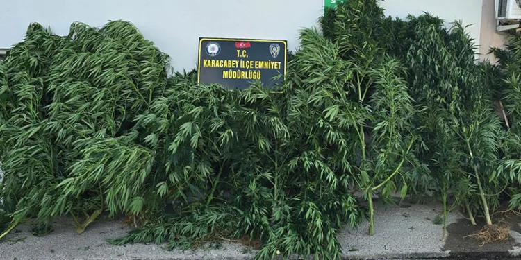 Uyuşturucu taciri tutuklandı