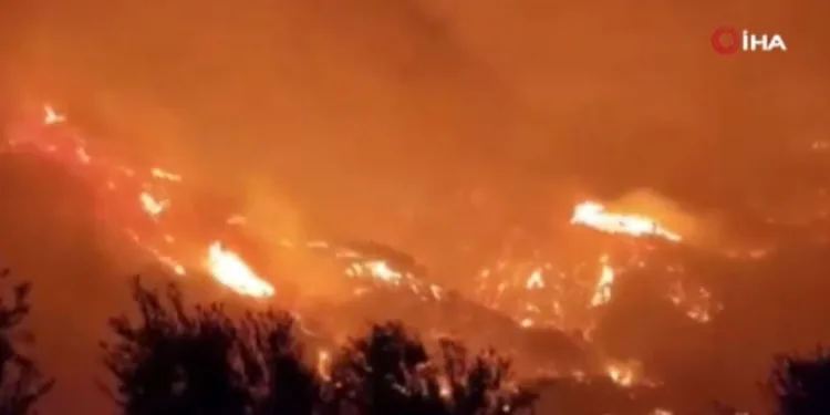Yunanistan’da orman yangını: 2 ölü