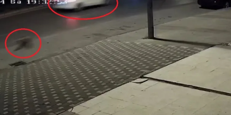 Çarptığı genç yaşamını yitirdi, vicdansız sürücü kaçtı