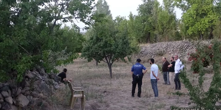 Budamak için çıktığı ağaçtan düşerek öldü