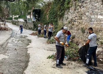 Temiz çevre için güç birliği