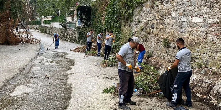 Temiz çevre için güç birliği