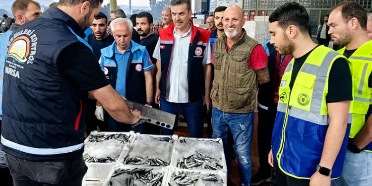 Bursa’da kaçak balık avına geçit yok